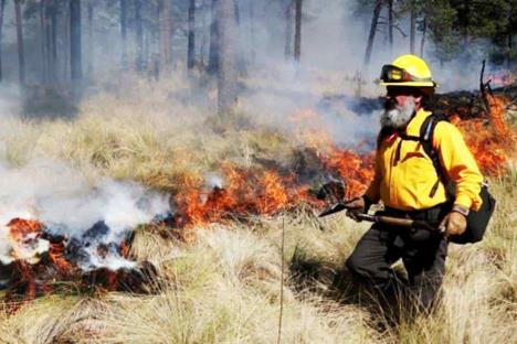 Siguen 113 incendios forestales activos en 20 estados